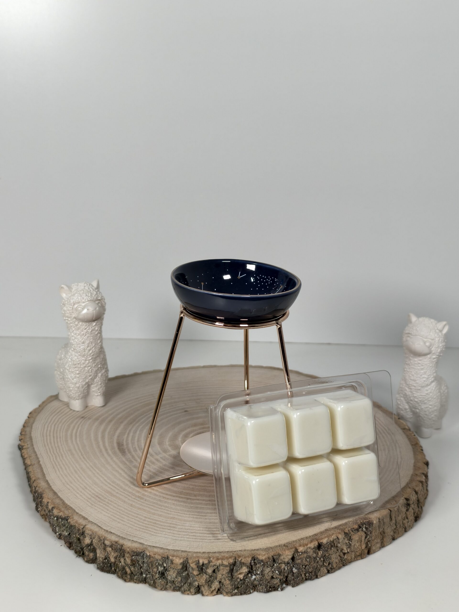 Quemador Galaxia y Wax Melt