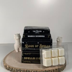 Quemador Libro de Hechizos y Wax Melt