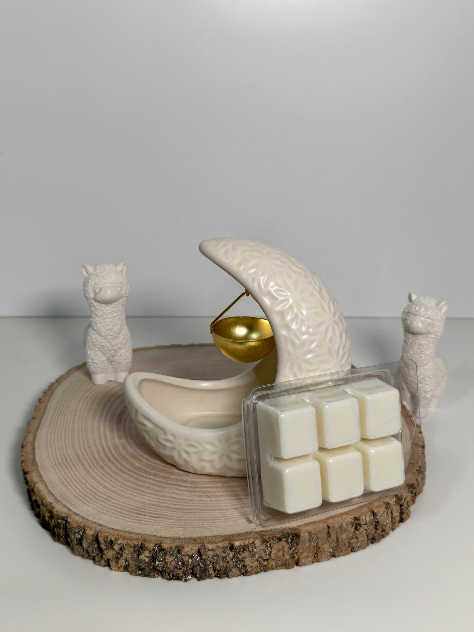 Quemador Luna Duna y Wax Melt