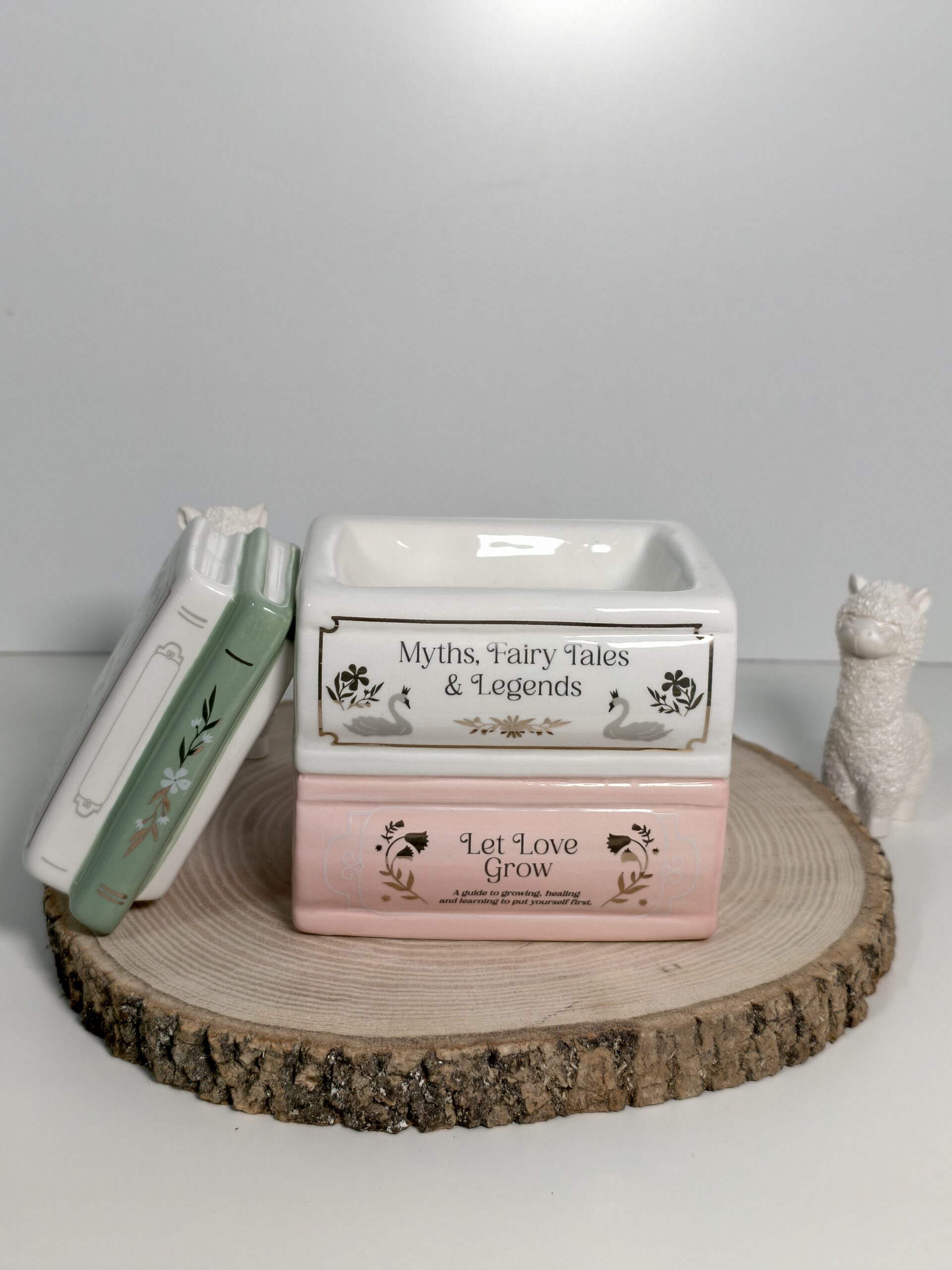 Quemador Literario - Imagen 2