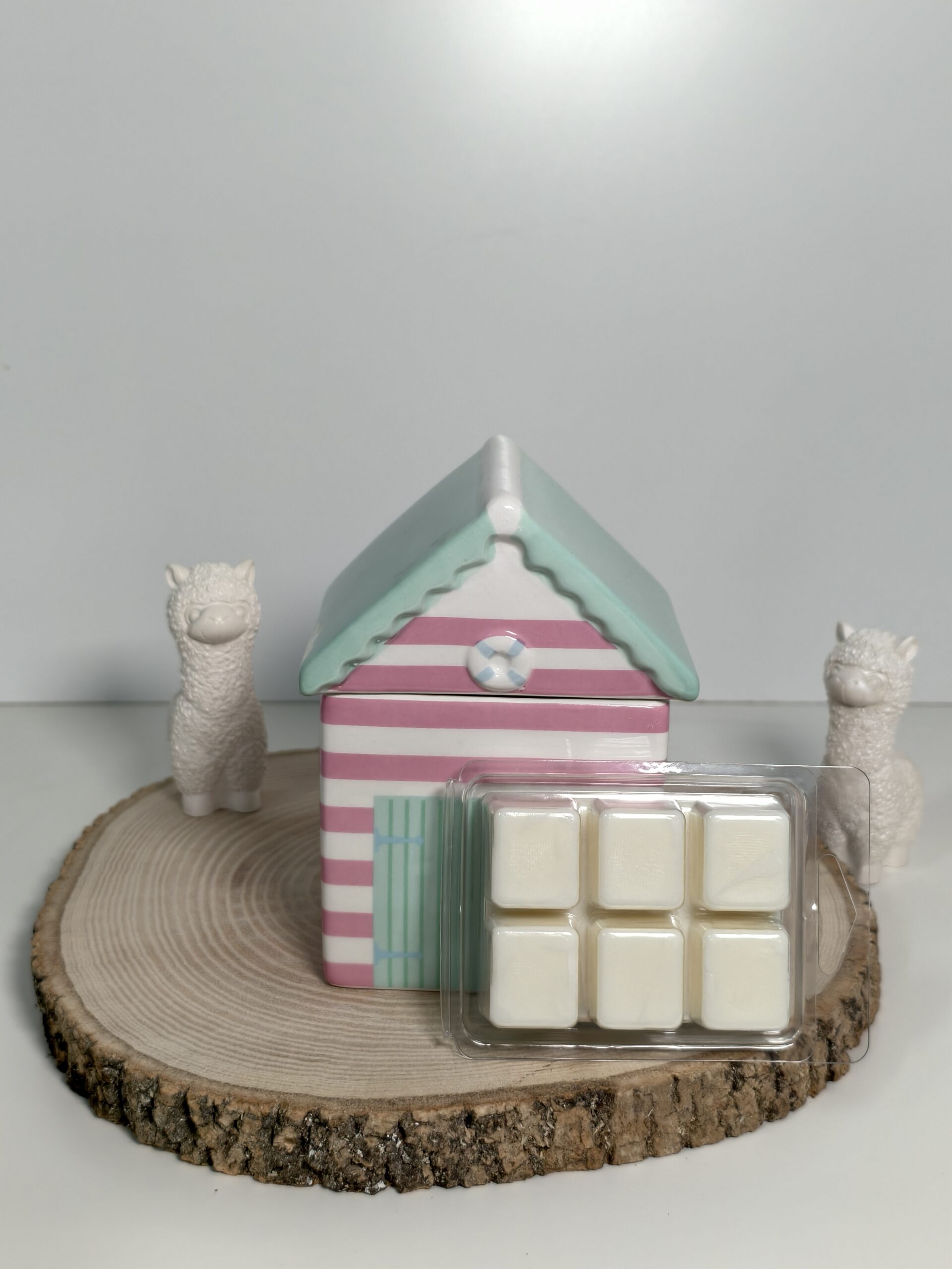 Quemador Casita de Playa y Wax Melt