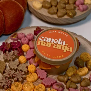Wax Melt Formas Canela Naranja